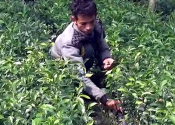 শাৰীৰিকভাৱে সক্ষম হৈও কঠোৰ পৰিশ্ৰমৰ বলত আত্মনিৰ্ভৰশীল লংকাৰ যুৱক