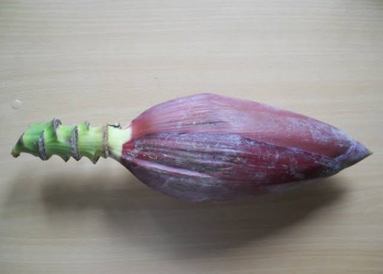 নিয়মিত খাওক কলডিল, উপকাৰিতা জানিলে অবাক হ’ব