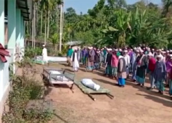 গোলাঘাটত হাতীৰ গচকত দুজন নিহত