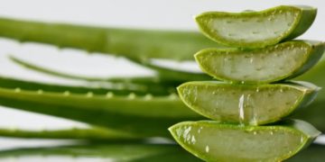 এলোভেৰাৰ এই ৫ প্রয়োগ নাজানে বহুতেই