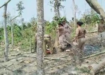 ডিফু-লামডিঙ পথৰ ১১ কিলোত আজি অবৈধ বেদখলকাৰীৰ বিৰুদ্ধে পুণৰ বনবিভাগৰ উচ্ছেদ