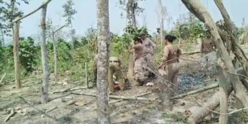 ডিফু-লামডিঙ পথৰ ১১ কিলোত আজি অবৈধ বেদখলকাৰীৰ বিৰুদ্ধে পুণৰ বনবিভাগৰ উচ্ছেদ