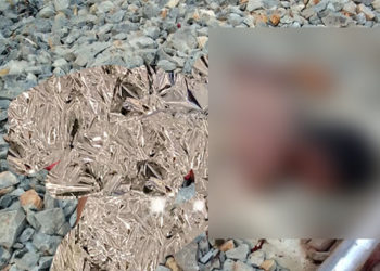ডিফুত ছিন্ন ভিন্ন অৱস্থাত অচিনাক্ত ৰে’লে কটা মৃতদেহ উদ্ধাৰ