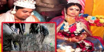 হিমাচলত মধুচন্দ্রিকালৈ গৈ খাদত পৰি মৃত্যু ন-কইনাৰ!