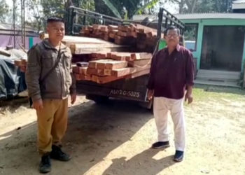 হোজাই-কাৰবি আংলং সীমান্তত বুজন পৰিমাণৰ চোৰাং কাঠসহ টাটা মোবাইল জব্দ বনবিভাগৰ