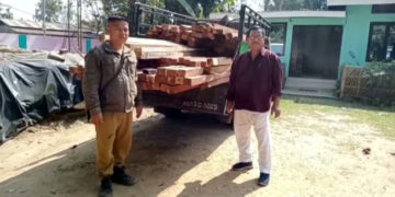 হোজাই-কাৰবি আংলং সীমান্তত বুজন পৰিমাণৰ চোৰাং কাঠসহ টাটা মোবাইল জব্দ বনবিভাগৰ