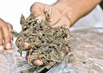 Three persons with 28 packets of ganja arrested from train 