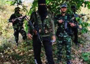 Two NLFB militants injured in encounter 