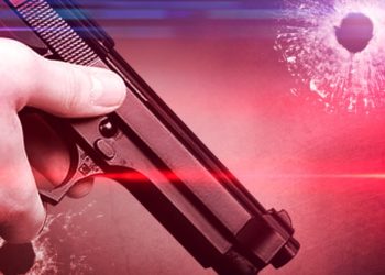  Man arrested for shooting neighbour : 