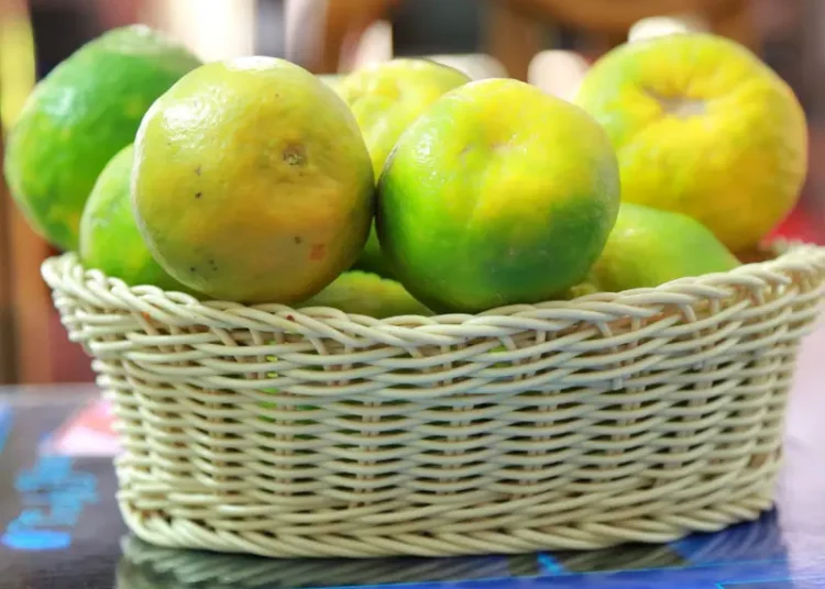 মৌচুমীৰ ৰসৰ স্বাস্থ্য উপাদান আৰু কেইটামান উপকাৰিতা: 1 মৌচুমীৰ ৰসৰ স্বাস্থ্য উপাদান আৰু কেইটামান উপকাৰিতা: