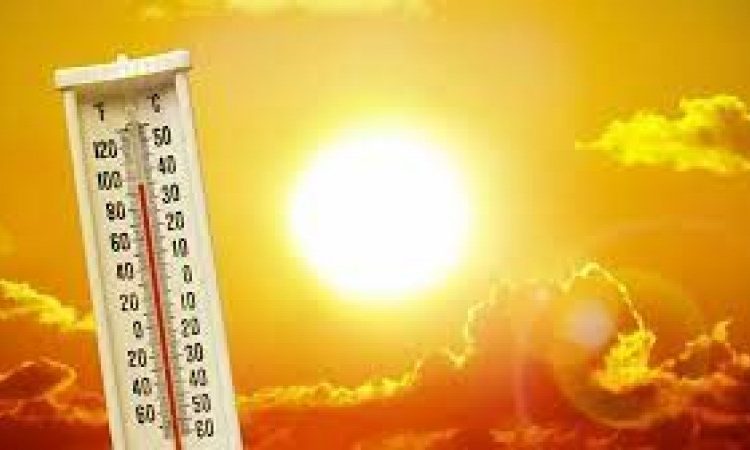 তেলেংগানাত গ্ৰীষ্মপ্ৰবাহত মৃত্যু ১৬ I ৪ লাখ টকাৰ ক্ষতিপূৰণ ঘোষণা 1 উষ্ণতম গ্রীষ্ম! ৫ ৰাজ্যত তাপ প্রবাহৰ সতর্কতা