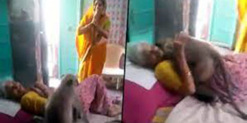 বৃদ্ধাক বিচাৰি বৃদ্ধাৰ ঘৰত সোমাল হনুমান:
