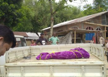 সোণাৰী নগৰৰ টিয়ক বঙালী গাঁওস্থিত জীয়েক-জোঁৱায়েকে হত্যা কৰিলে নিজ বৃদ্ধ পিতৃকঃ