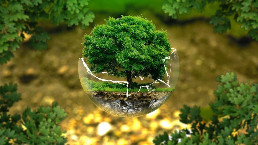 Day for Biological Diversity