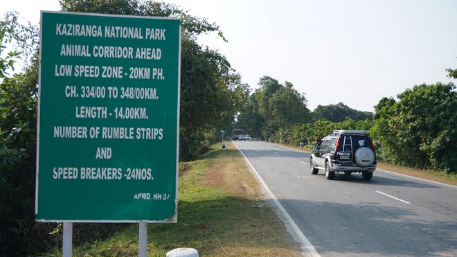 Speed limit in all animal corridors of KNP limited