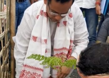 বোকাখাতত সাংসদ গৌৰৱ গগৈৰ বৃক্ষৰোপণঃ