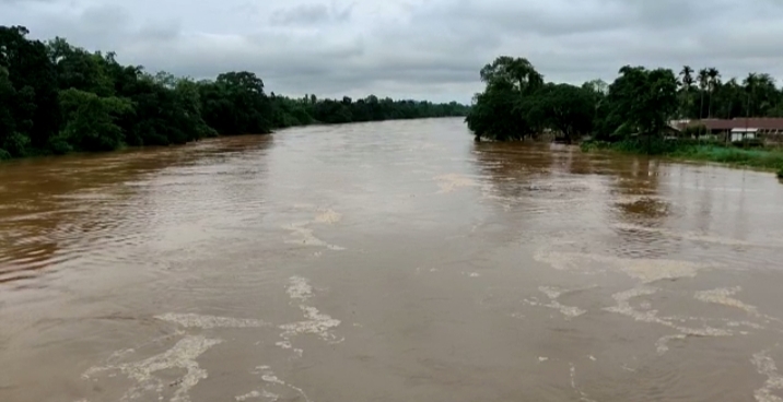 কৃত্ৰিম বান