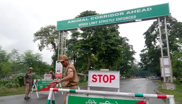 Speed limit in all animal corridors