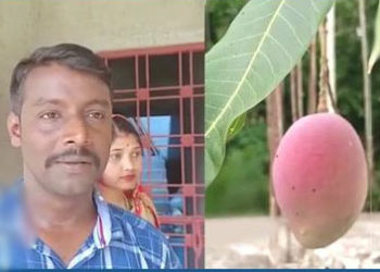 ডেৰলাখ টকীয়া আম কাটি খালে কাকী পদূমপুখুৰী গাৱৰ ৰাইজে: