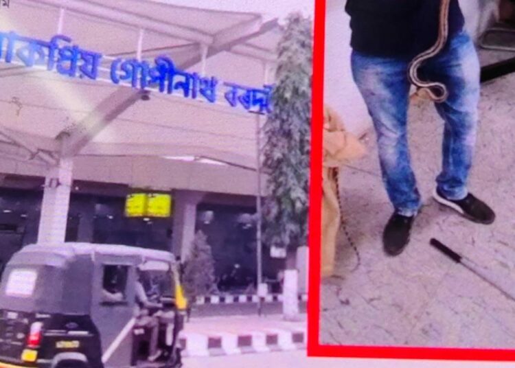 বৰঝাৰ বিমানবন্দৰত বিষাক্ত সাপঃ দংশন কৰিলে এজন কৰ্মচাৰীক-