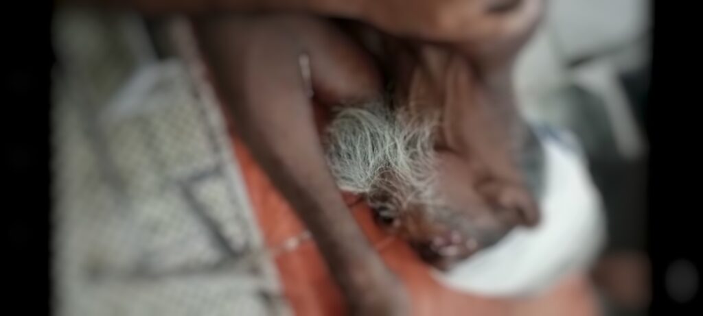 ৰূপহীহাটত পথ দুৰ্ঘটনা