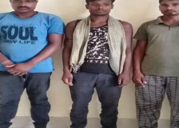 ধলাই আৰক্ষীৰ অভিযানত জব্দ ৩ খন চুপাৰী ভৰ্তি বাহনঃ