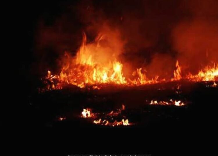 শ্বিলঙৰ বজাৰত ভয়ংকৰ অগ্নিকাণ্ডত ৮৪ খন দোকান ভস্মীভূত: