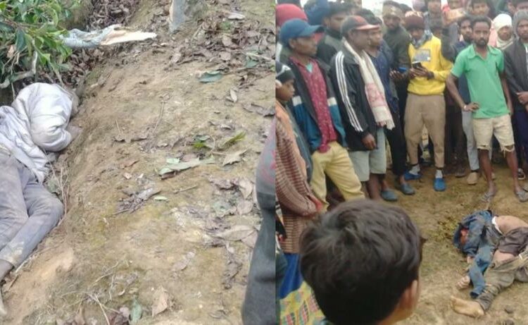 Human-elephant conflicts: সোণাৰি চাহ বাগিচাত বনৰীয়া হাতীৰ আক্ৰমণত প্ৰাণ গ’ল দুই যুৱকৰ