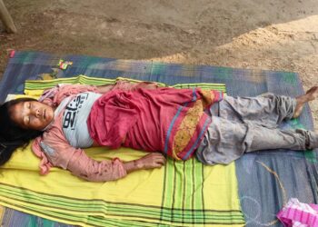 কাৰবি আংলঙত বনৰীয়া হাতীৰ আক্ৰমণত নিহত মহিলা