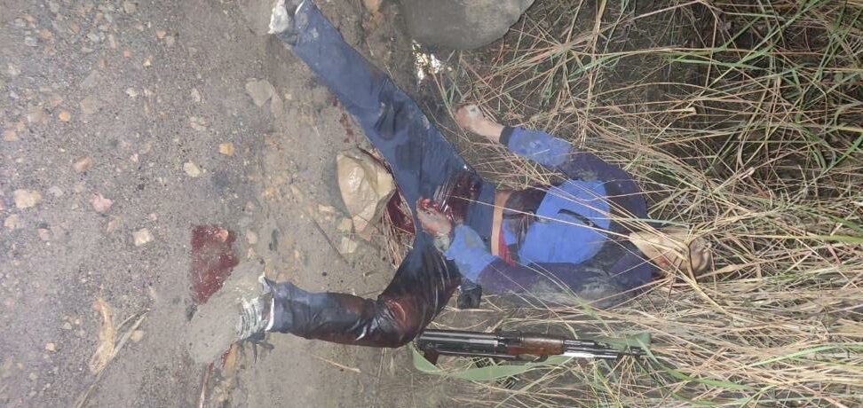 আলফা
