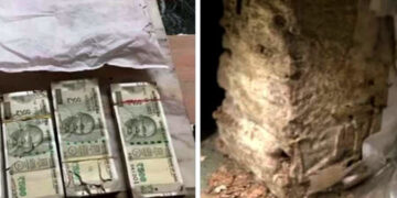 Bank locker I বেংক লকাৰত লাখ লাখ টকা কুটিলে উঁই পৰুৱাই!