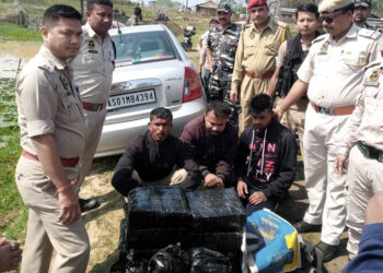 Ganja Recovered I লাহৰিজান চাহ বাগানত বুজন পৰিমানৰ গাঞ্জাসহ তিনি সৰবৰাহকাৰী আটক
