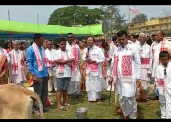 Bihu celebrations in Diphu I ডিফুত ৩০ সংখ্যক বেচিক কলনি বিহু উদযাপন সমিতিৰ উদ্যোগত সমূহীয়া গৰু গা-ধোওৱা পৰ্ব উদযাপন