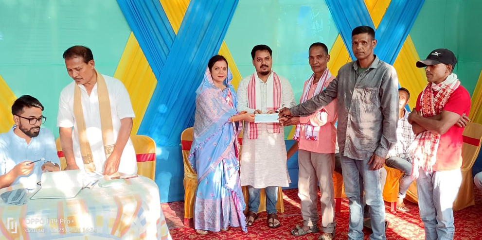 বোকাখাত