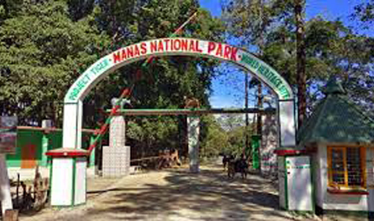 Manas National Park I প্ৰতি মঙলবাৰে পৰ্যটকৰ বাবে বন্ধ থাকিব মানস অভয়াৰণ্য