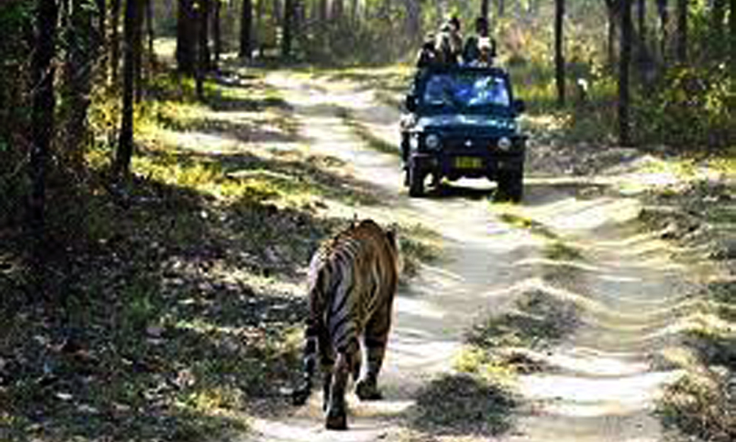 মানস অভয়াৰণ্য