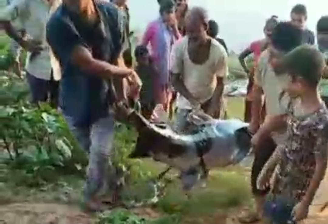 কপিলী নদী