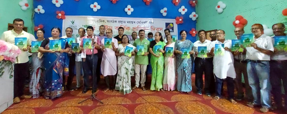 বোকাখাত