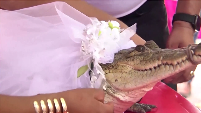 Screenshot 2022 07 02 at 01 33 35 In age old ritual Mexican mayor weds alligator to secure abundance | ASSAM TIMES POST