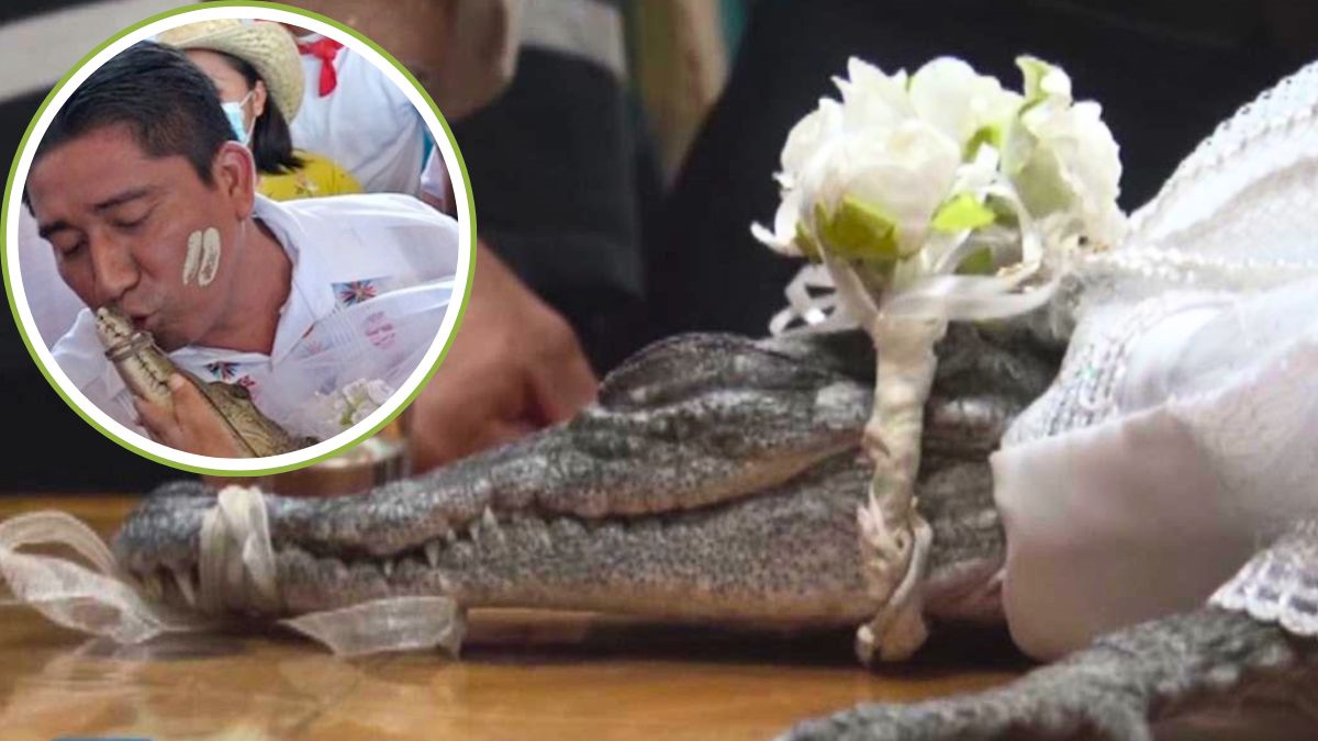 man marries alligator 1688273465 | ASSAM TIMES POST