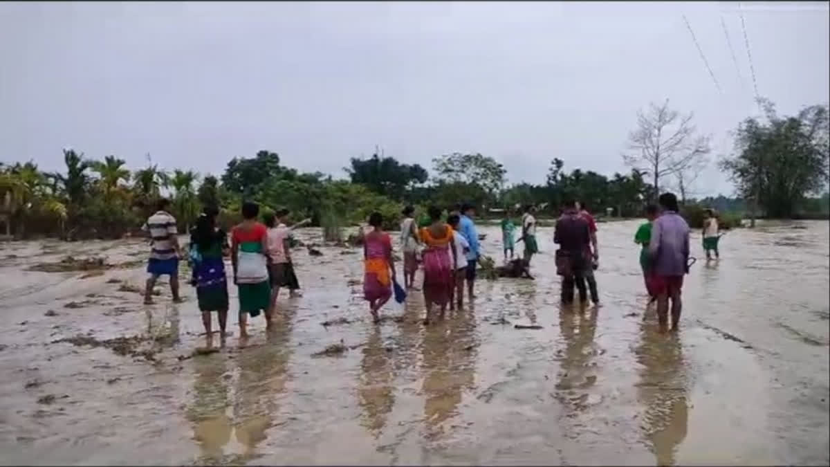 Assam Floods
