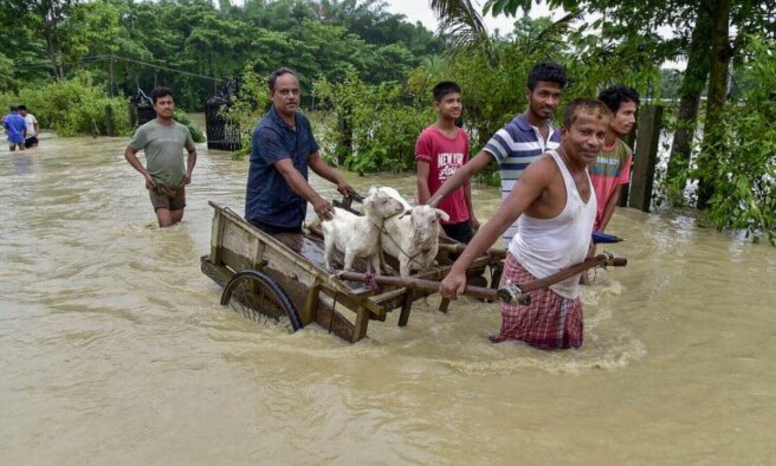 Assam in Dire Straits: 