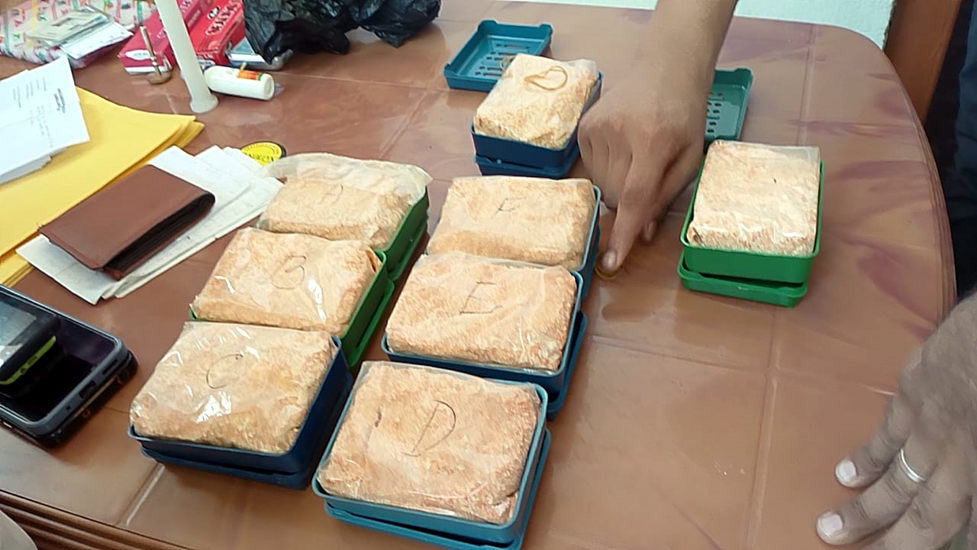 Drug 1 1 | ASSAM TIMES POST