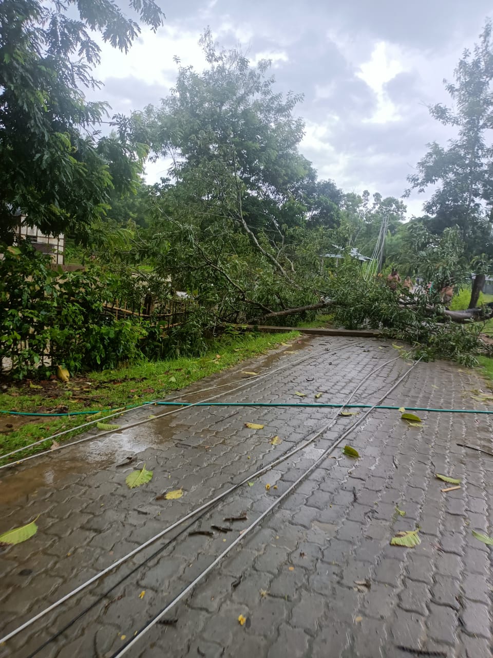 ধুমুহা বৰষুণ