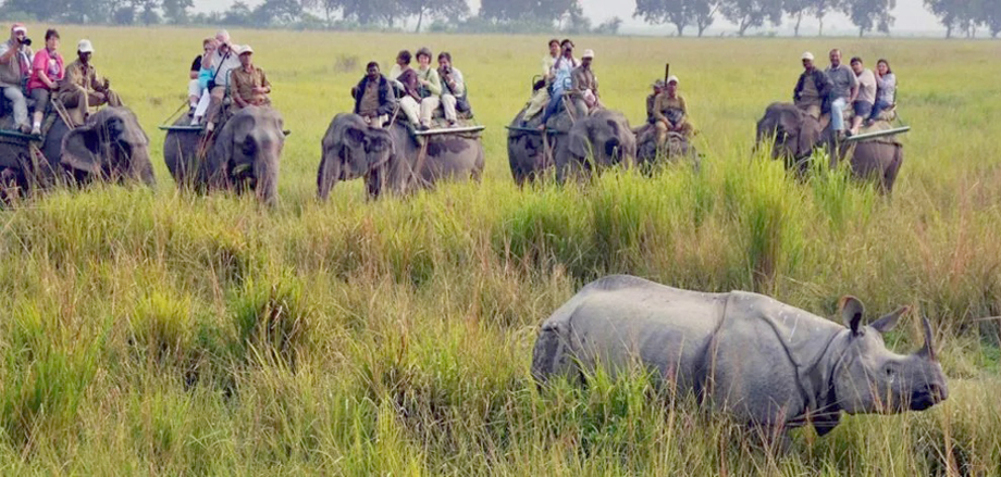 kazi1 1 | ASSAM TIMES POST