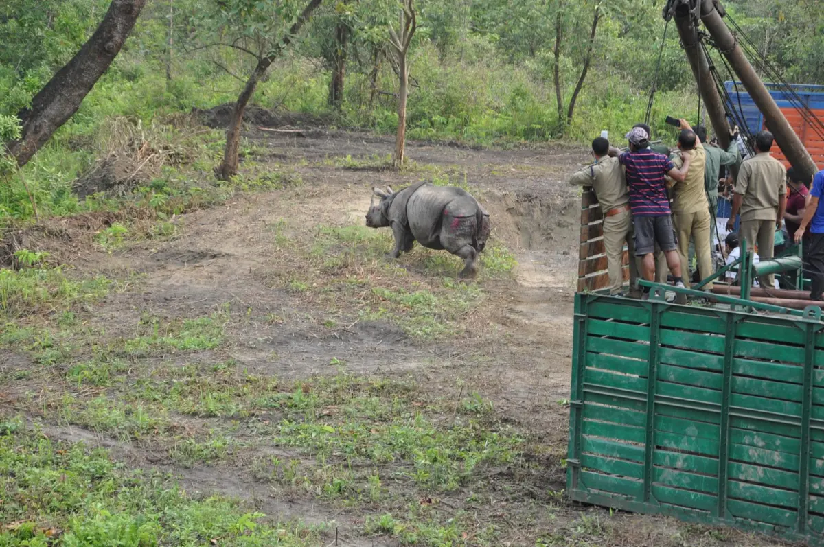 Smugglers Busted: