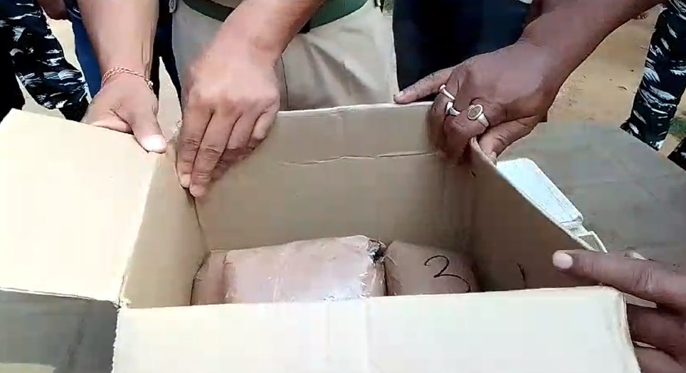 Assam-Nagaland Border Bust: Significant Seizure of Opium and Poppy Plants"