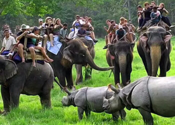 Kaziranga national park : পৰ্যটকৰ ক্ষেত্ৰত অভিলেখ সৃষ্টি কাজিৰঙা ৰাষ্ট্ৰীয় উদ্যানৰ