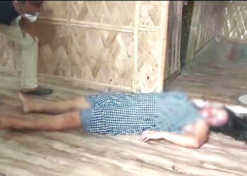 Tragic Late-Night Murder in Diphu: Young Woman Fatally Shot in Her Home