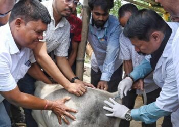 Outrage in Assam: Police Complaint Alleges State Minister ‘Illegally’ Administered Harmful Injections to Animals :